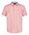 color Peach 1