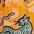 color crazy tigers 14