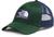 color Pine Needle 4