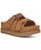 color Chestnut 0