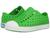 color Grasshopper Green/Shell White 3