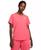 color Aster Pink/white 3