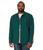 color Dark Pine 2