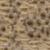 color Gold/Taupe 1