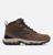 color Brown 2