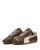 color Brown 6