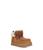 color Chestnut 1