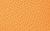 color POP ORANGE 1