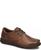 color Brown Avana 1