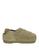 color Sage green 1