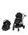 color New Hope Black 3