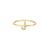 color Gold-J 13