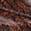 color Stable Brown 5