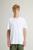 color Bright White 2
