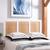 color white wash 1