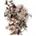 color 308 CLAIR OBSCUR 7