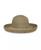 color Beige 1