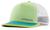 color Salamander Green 1