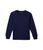 color Cruise Navy 1