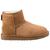 color Chestnut 1