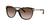 color Brown Gradient 1