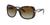 color Polar Brown Gradient 3