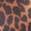 color Leopard 5