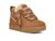 color Chestnut 2