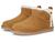color Chestnut 1