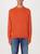 color ORANGE 2