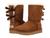 color Chestnut 1