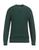 color Dark green 1