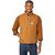 color Carhartt Brown 1