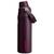 color Plum 20