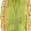 color 14K Yellow Gold - Peridot 1