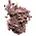 color 31 METALLIC PINK 12