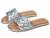 color Silver 1
