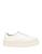 color Ivory 2