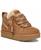 color Chestnut 1