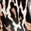 color Leopard 2