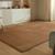 color Marron 0