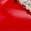color Red Patent 1