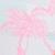 color Pink Flamingo 0