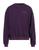 color Plum 1