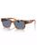 color Dark Havana 1