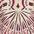 color fans_placee_purple 4