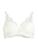 color IVORY 1
