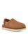 color Chestnut 1