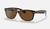 color Polished Tortoise/B-15 Brown 16