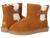 color Chestnut 1